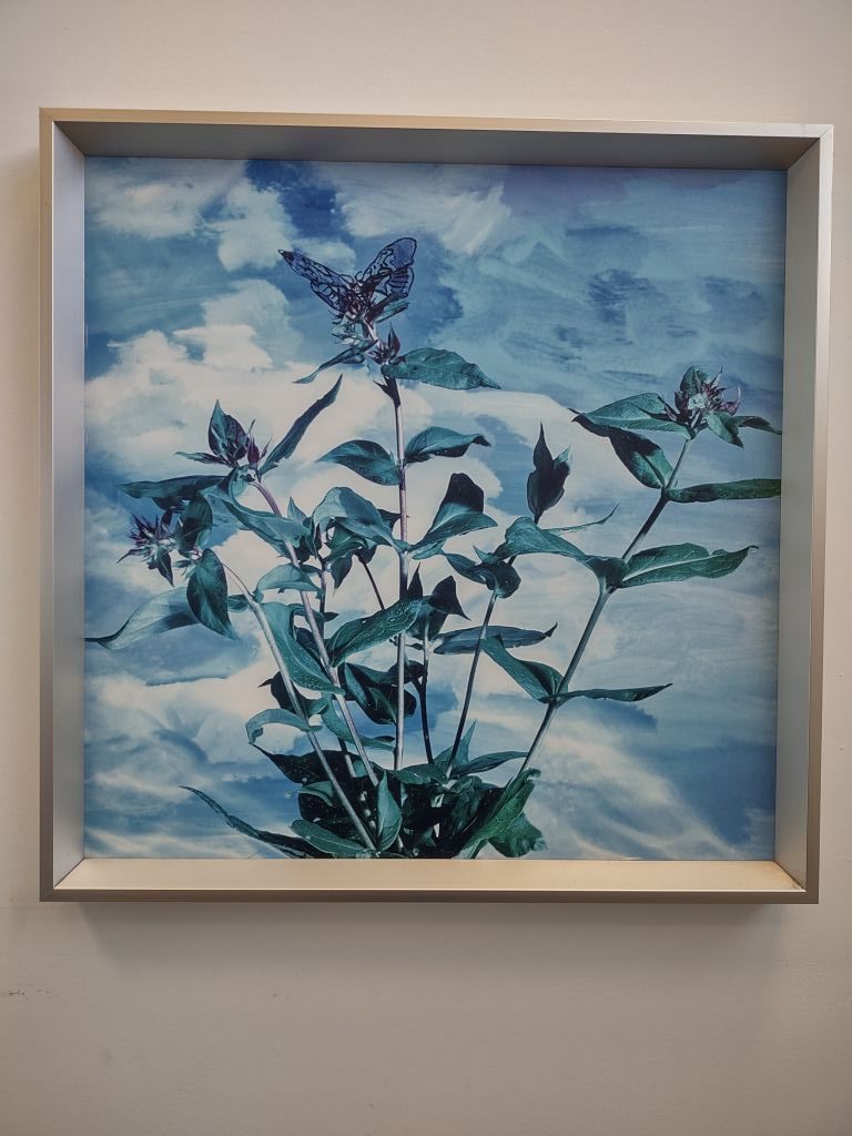 Quand fleurit l'espoir, 2007
Holly King